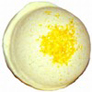 Apricot Buttermilk Salt Bath PICHPOSH Bath Bomb