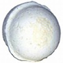 Coconut Milk Salt Bath PICHPOSH Bath Bomb