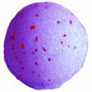 Nag Champa PICHPOSH Bath Bomb