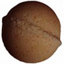 Remembering Your Spirit PICHPOSH Bath Bomb